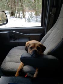 The team behind Mr. Electric of Queensbury